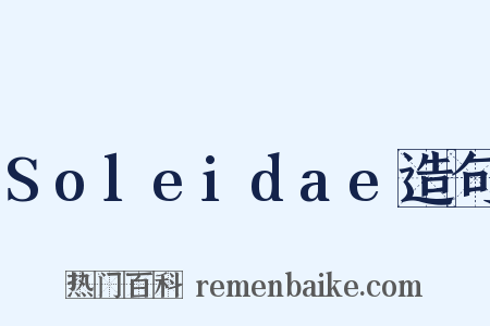 Soleidae造句是什么意思的图片